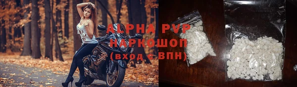 индика Белокуриха