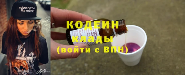 индика Белокуриха