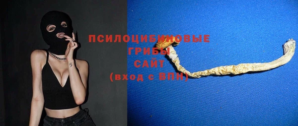 индика Белокуриха