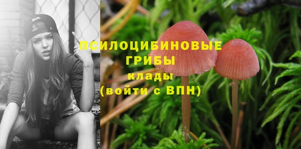 mdpv Беломорск