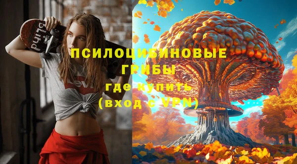 синтетический гашиш Богородицк