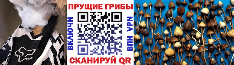 Галлюциногенные грибы Cubensis Великие Луки