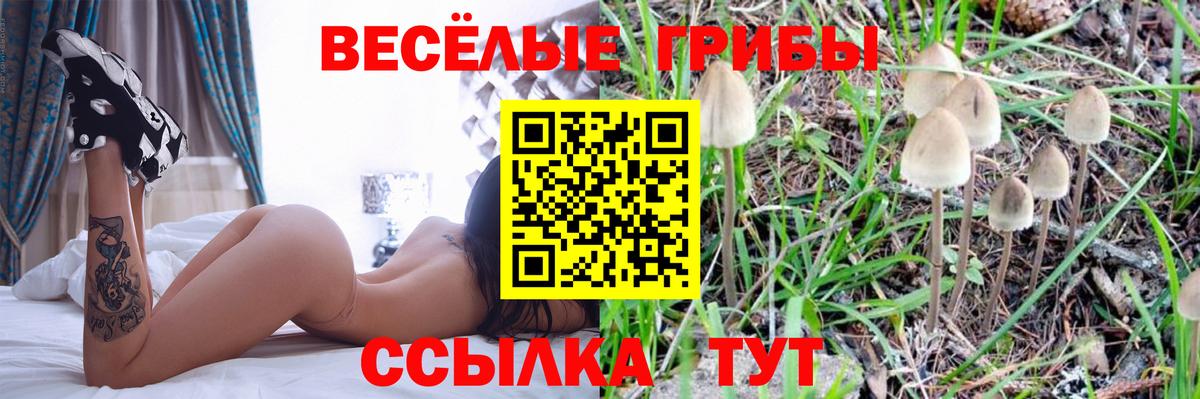 Великие Луки  Псилоцибиновые грибы Psilocybe  Вход с VPN 