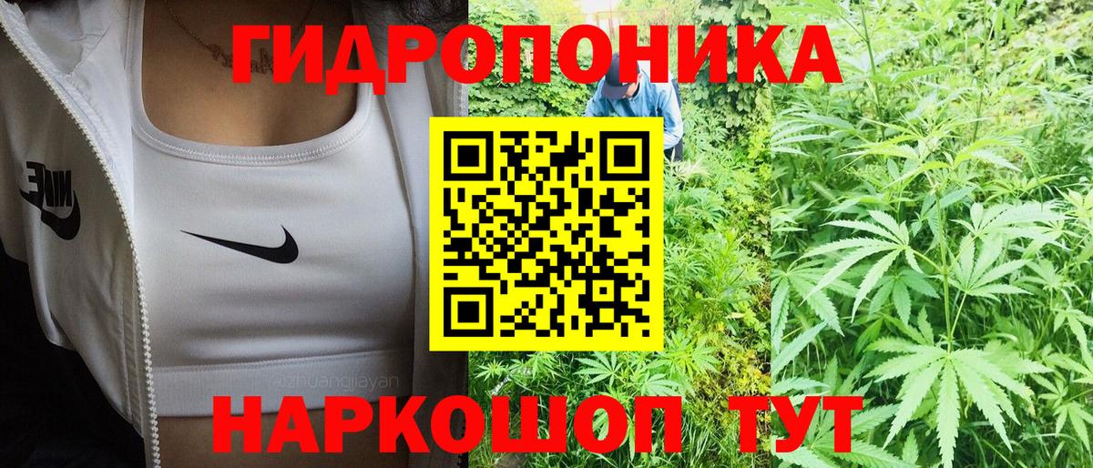 Шишки марихуана тримм  Марихуана Amnesia  Великие Луки  Вход с VPN  МАРИХУАНА ГИДРОПОН 